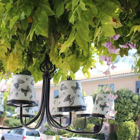 Ivoton Home Paphos Eksteriør bilde
